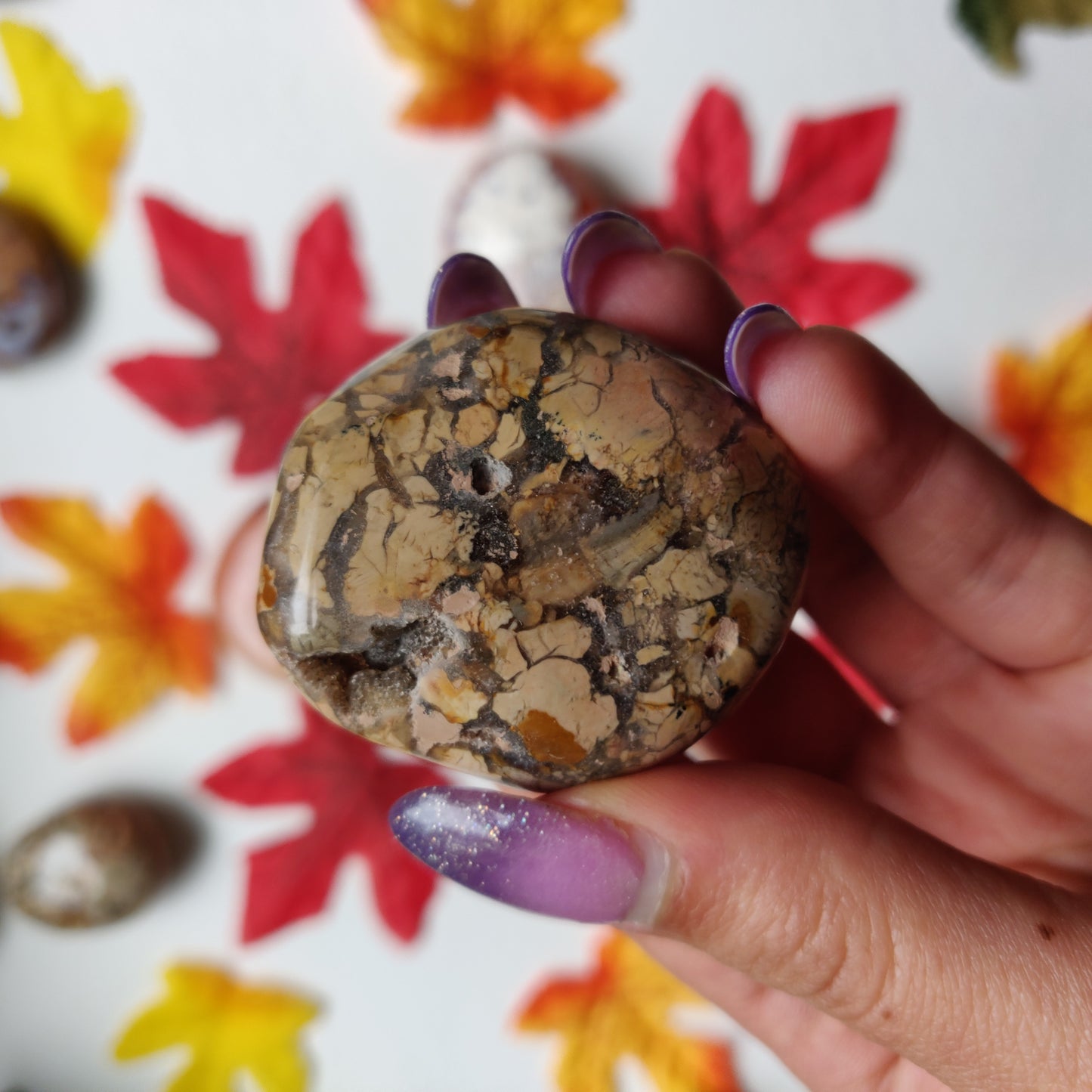 Ibis Jasper Palm Stone (#A1)