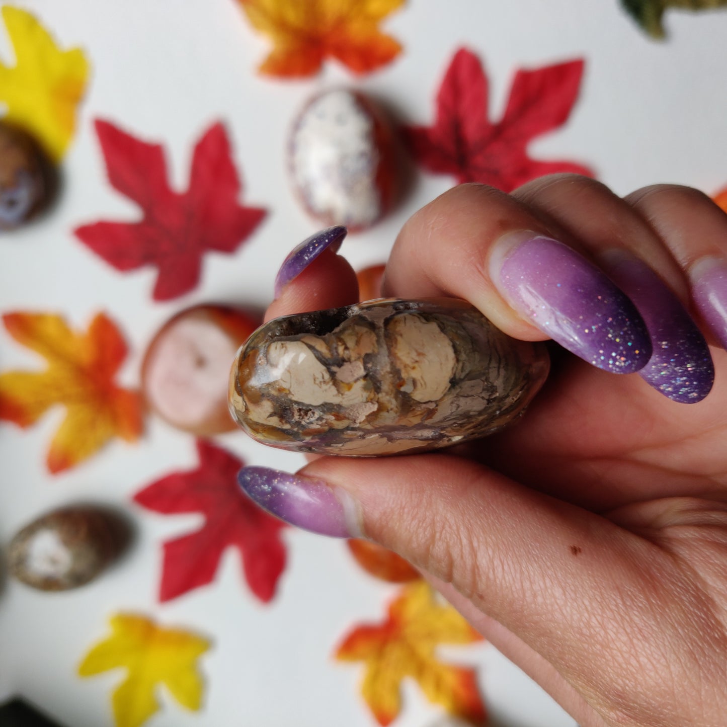 Ibis Jasper Palm Stone (#A1)