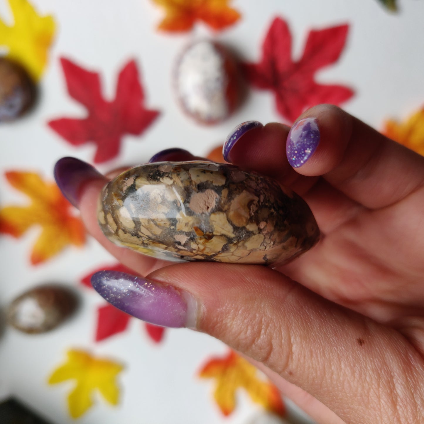 Ibis Jasper Palm Stone (#A1)