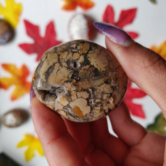 Ibis Jasper Palm Stone (#A1)