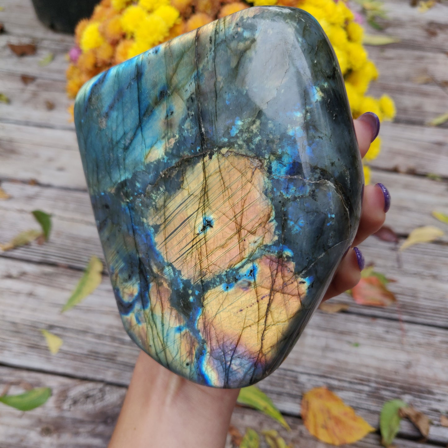 Large Labradorite Free Form over 3.75 LB! (#A7)