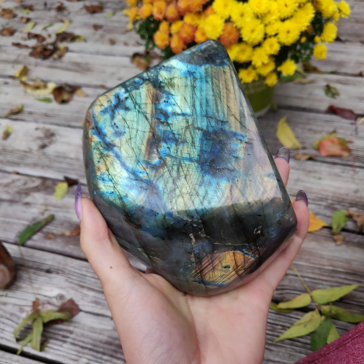 Large Labradorite Free Form over 3.75 LB! (#A7)