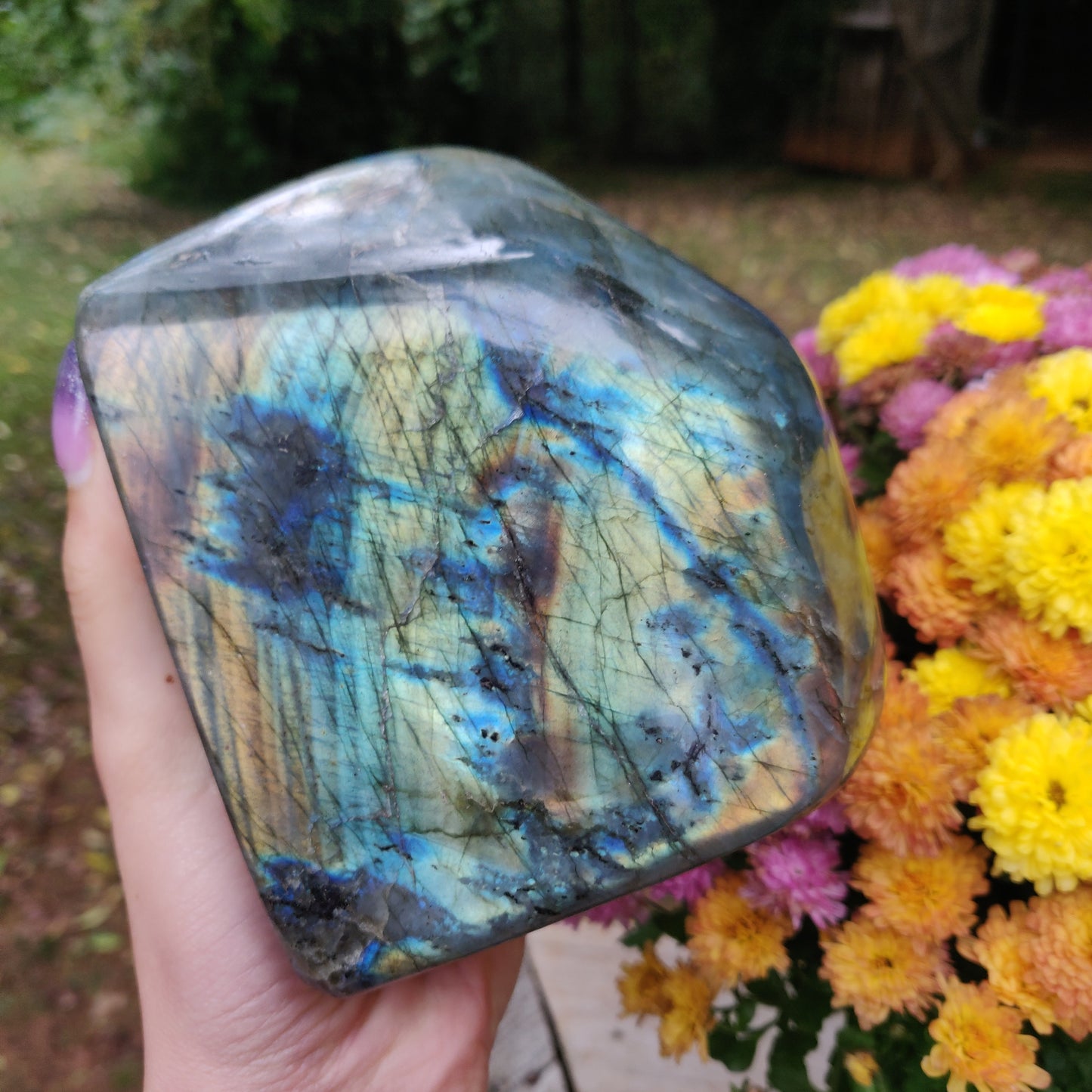 Large Labradorite Free Form over 3.75 LB! (#A7)