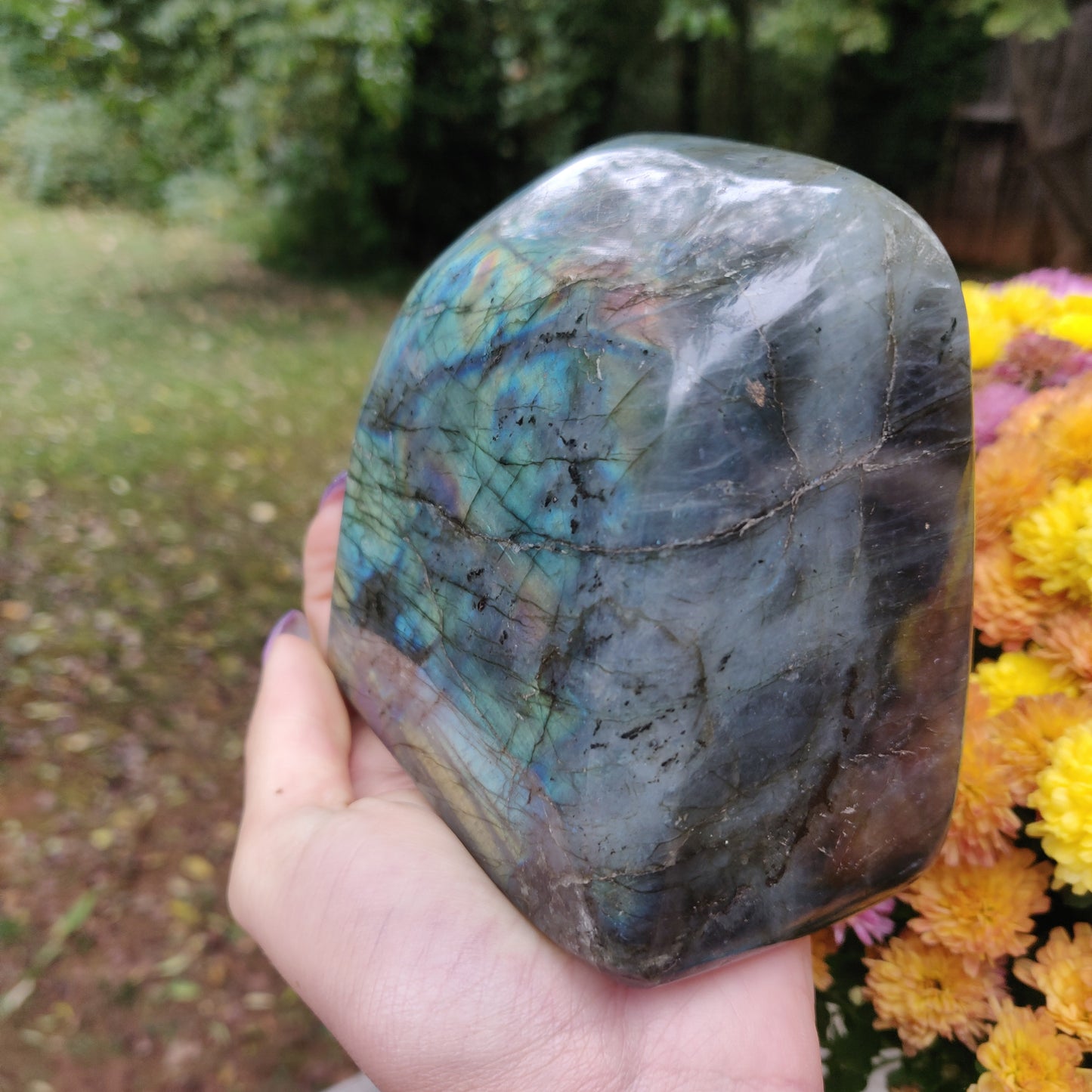 Large Labradorite Free Form over 3.75 LB! (#A7)