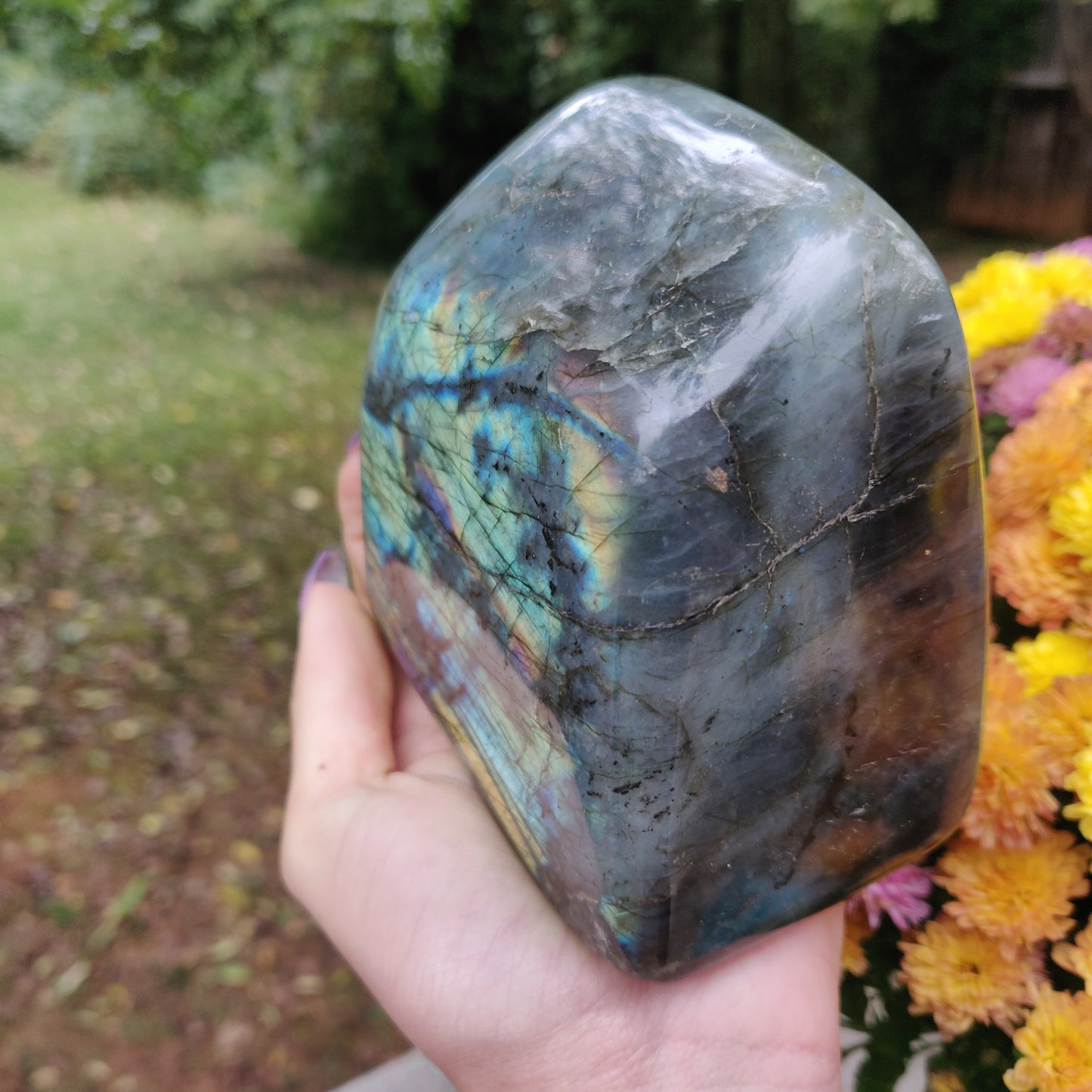 Large Labradorite Free Form over 3.75 LB! (#A7)