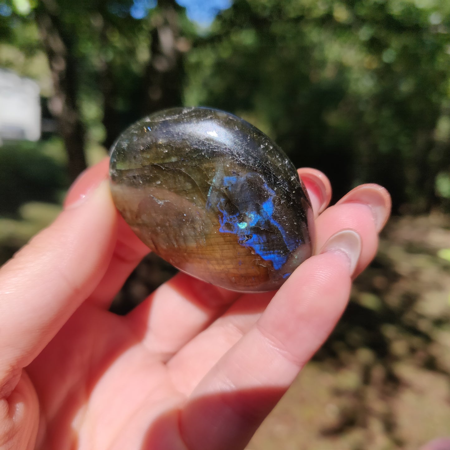 Labradorite Palm Stone (#A23)