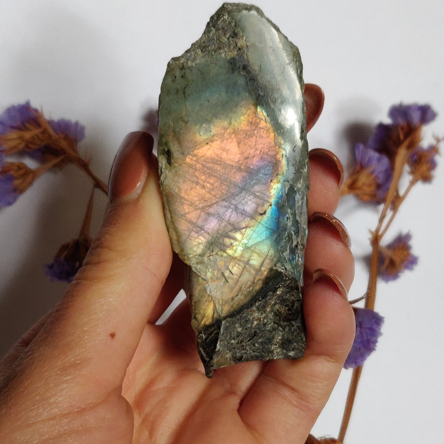Labradorite Slab, Rainbow Labradorite (#17)
