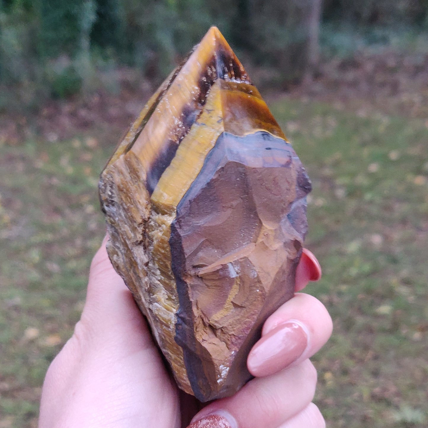 Tiger's Eye Point (#1)