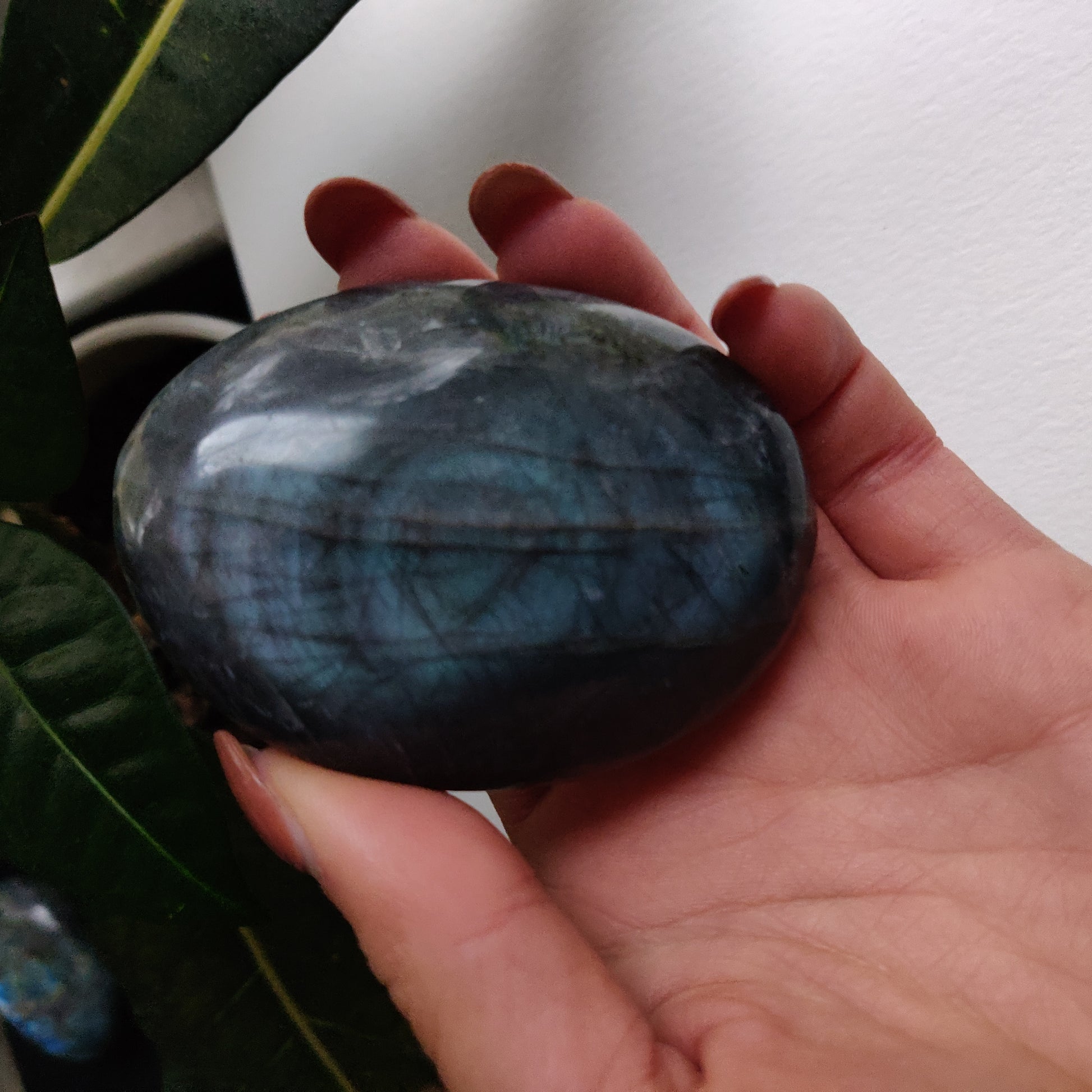 Labradorite Palm Stone (#62) - Simply Affinity