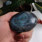 Labradorite Palm Stone (#62) - Simply Affinity