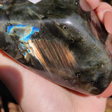 Labradorite Free Form (#12) - Simply Affinity