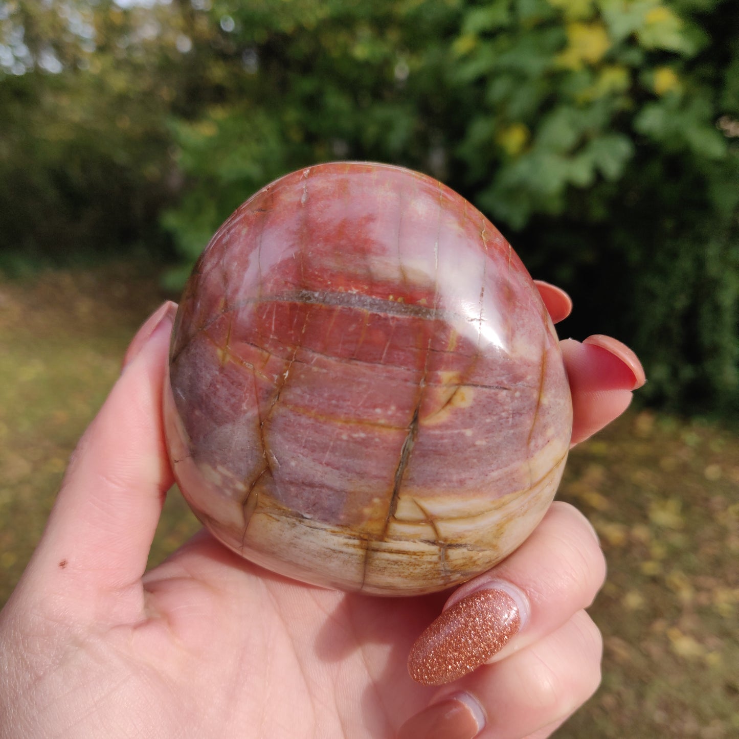 Large Petrified Wood Palm Stone (#1)