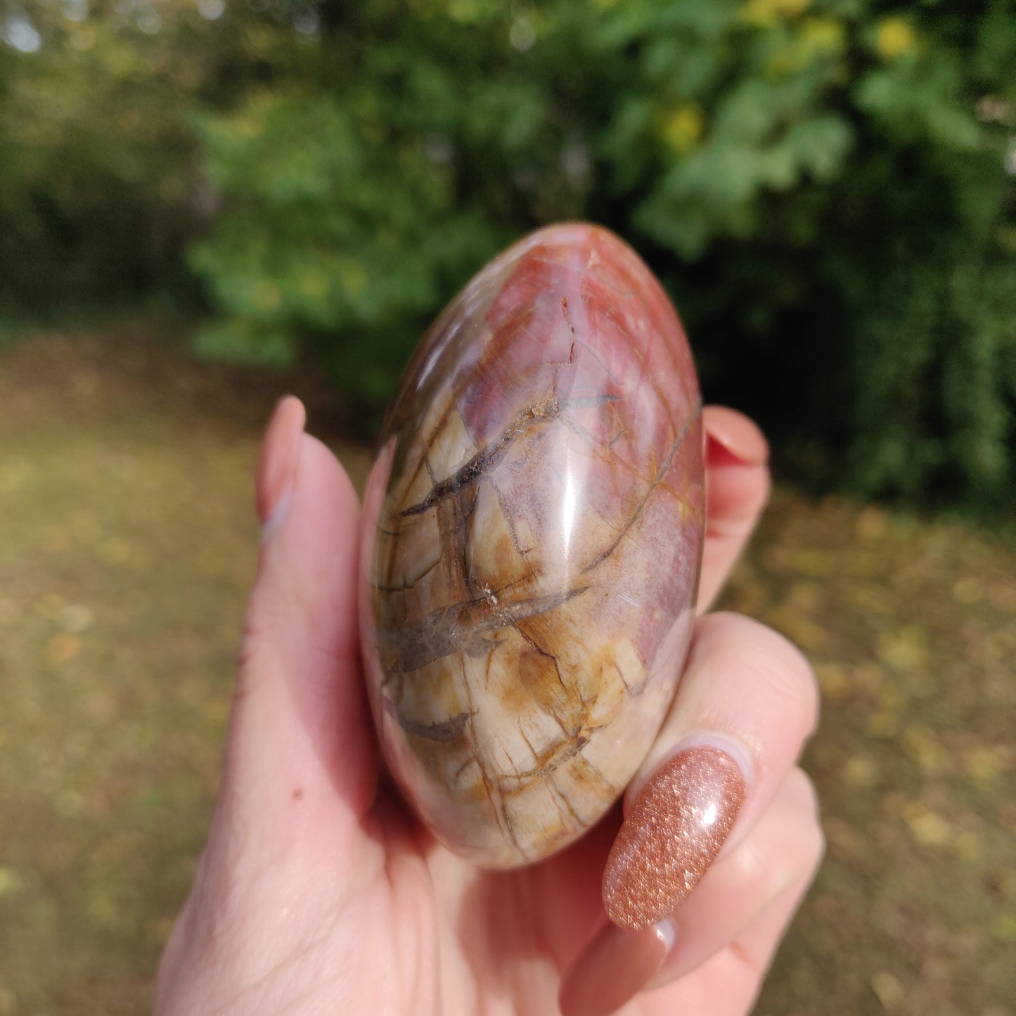 Large Petrified Wood Palm Stone (#1)