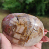 Large Petrified Wood Palm Stone (#1)