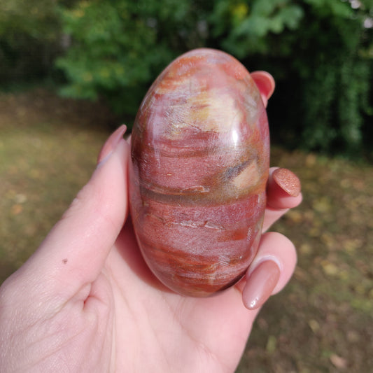 Petrified Wood Palm Stone (#3)