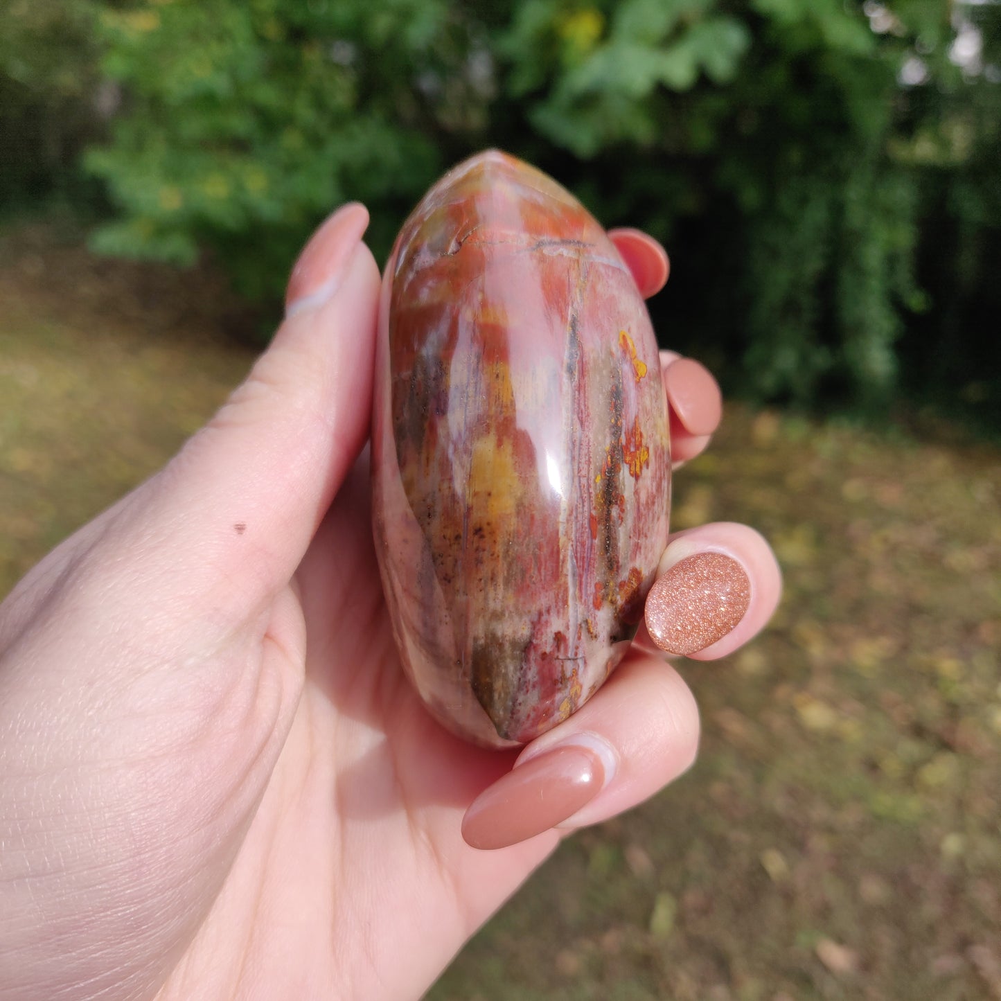 Petrified Wood Palm Stone (#5)