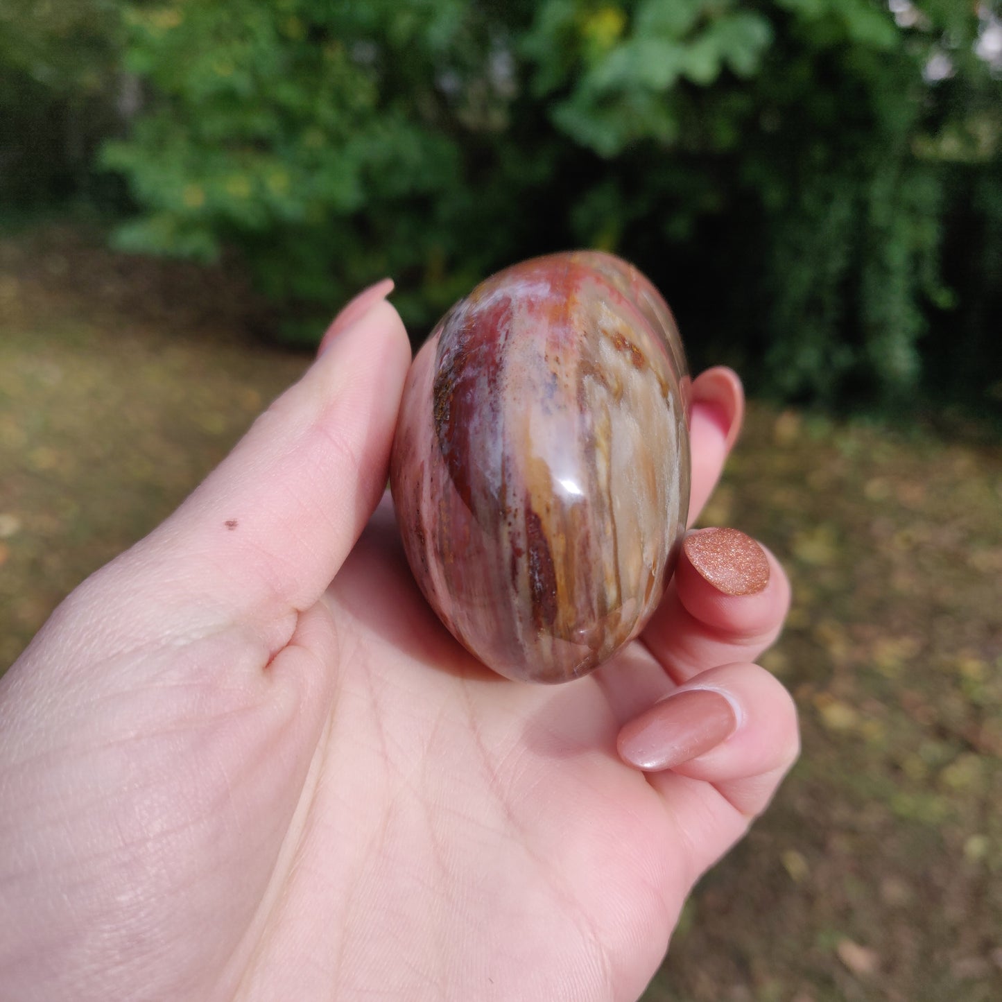 Petrified Wood Palm Stone (#5)