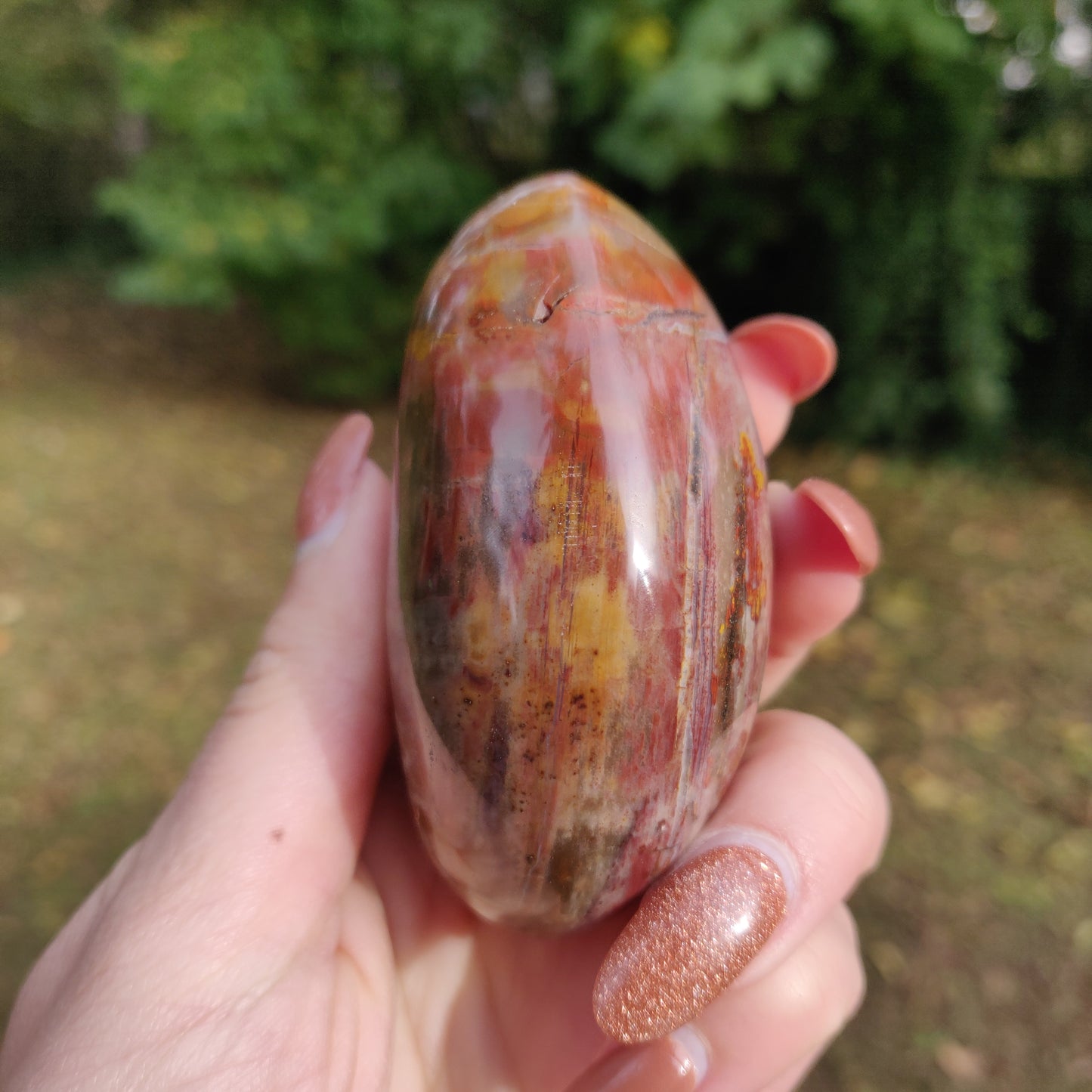 Petrified Wood Palm Stone (#5)