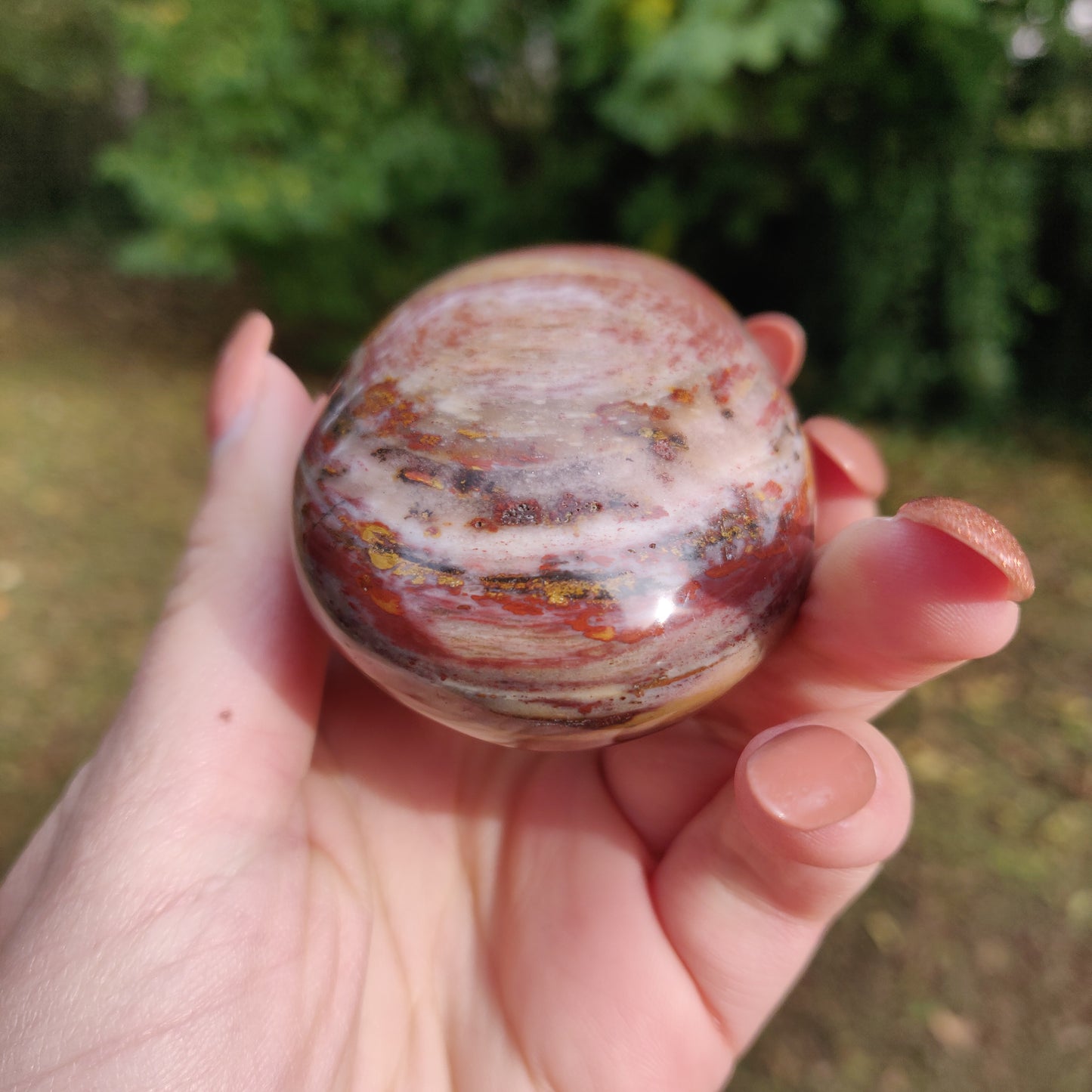 Petrified Wood Palm Stone (#5)