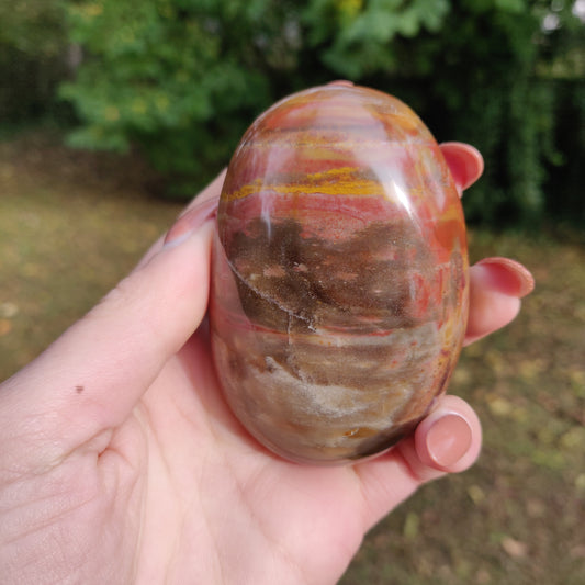 Petrified Wood Palm Stone (#5)