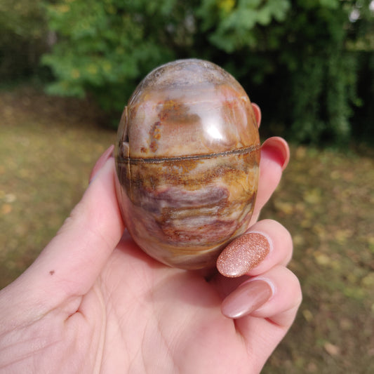 Petrified Wood Palm Stone (#10)