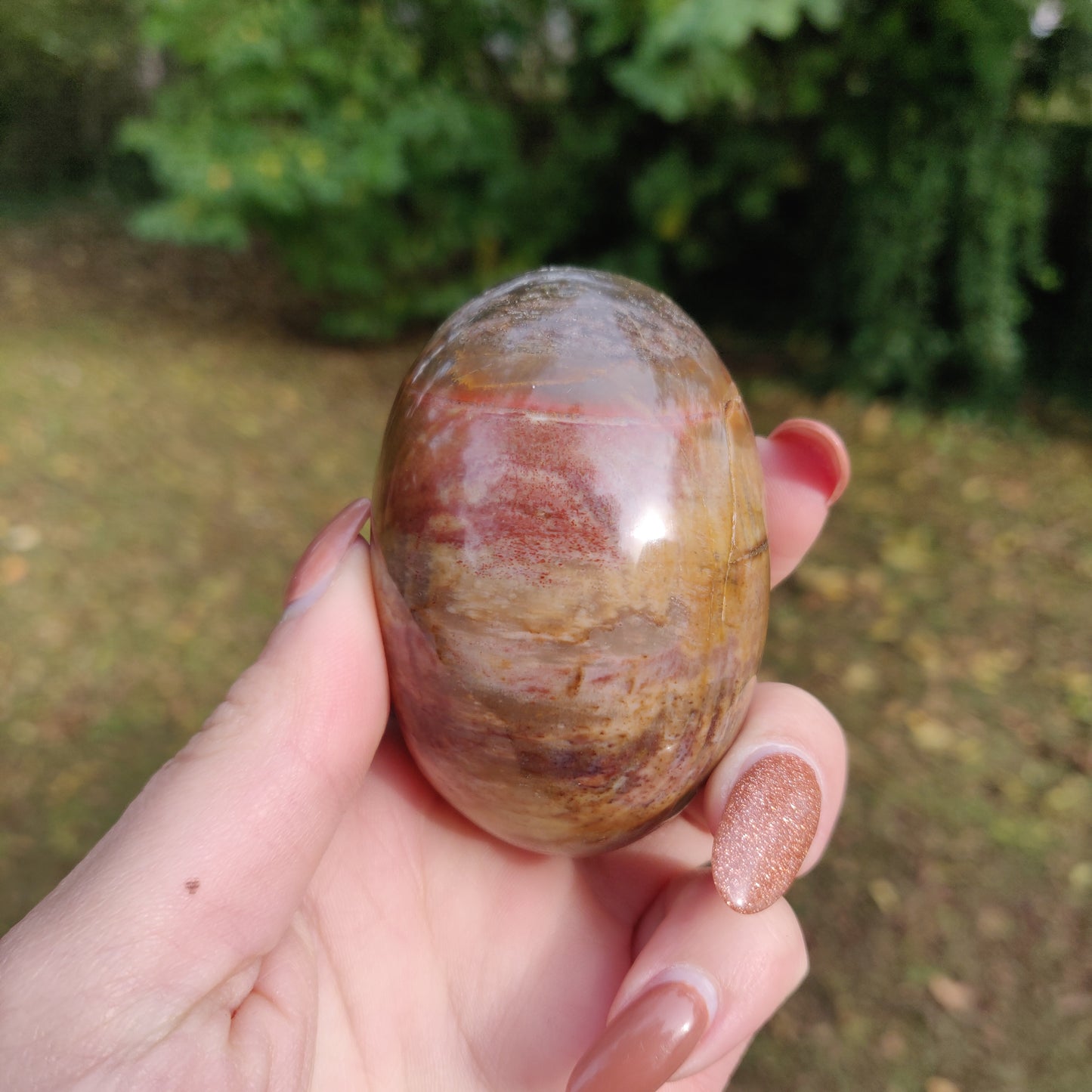 Petrified Wood Palm Stone (#10)
