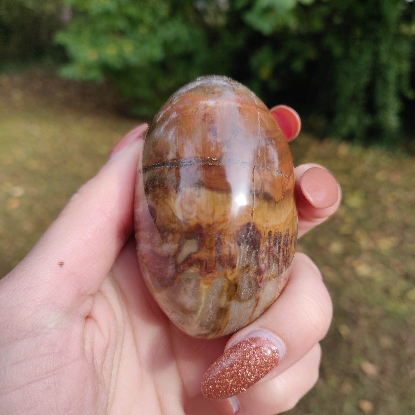 Petrified Wood Palm Stone (#10)