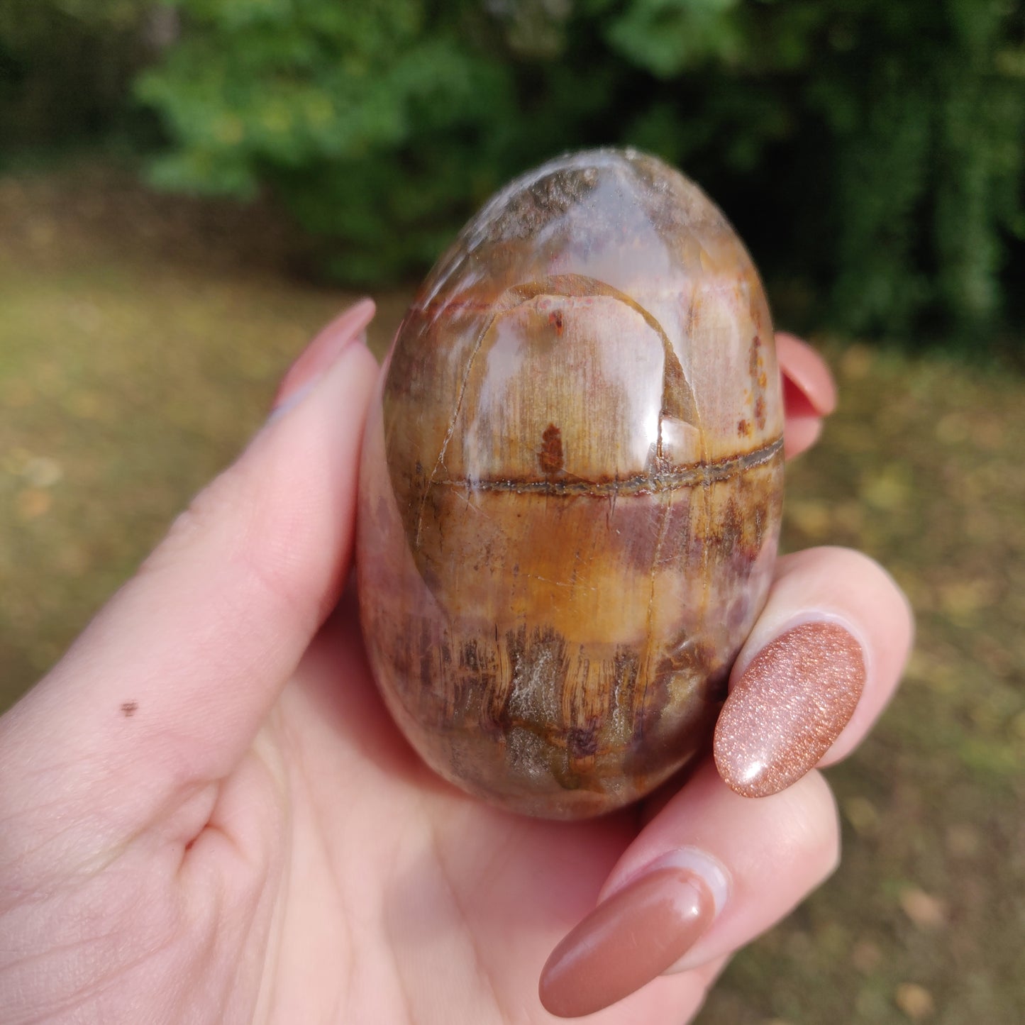 Petrified Wood Palm Stone (#10)