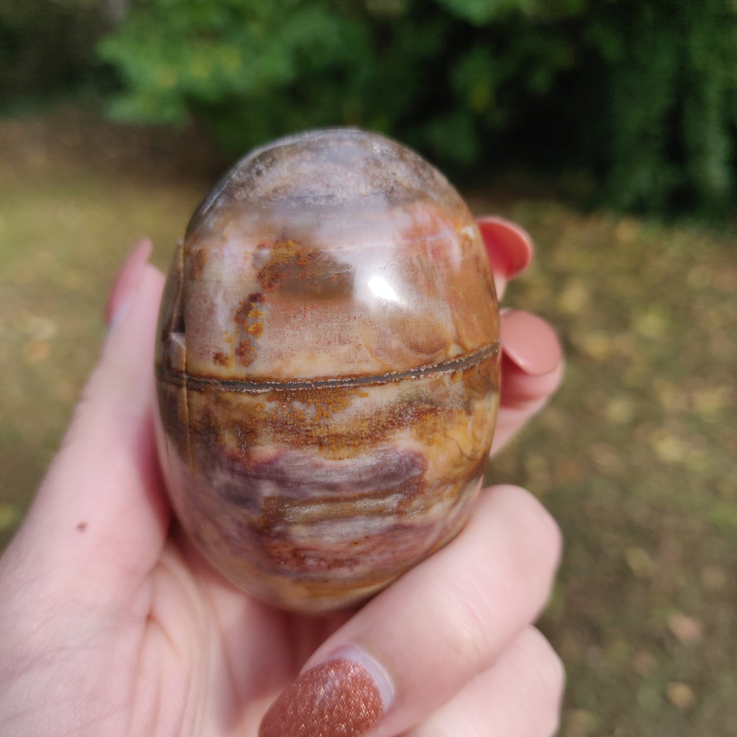 Petrified Wood Palm Stone (#10)