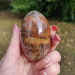 Petrified Wood Palm Stone (#10)
