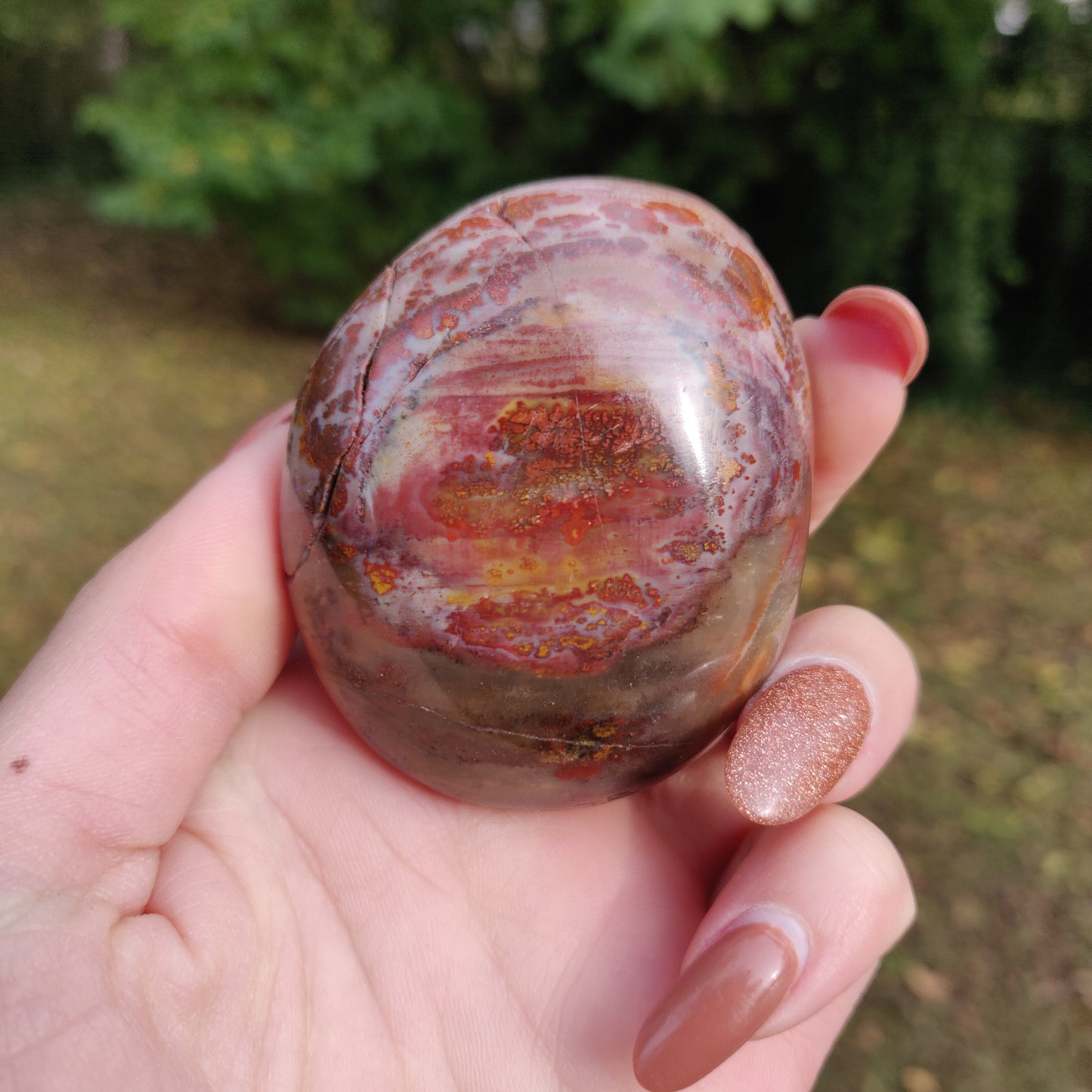 Petrified Wood Palm Stone (#8)