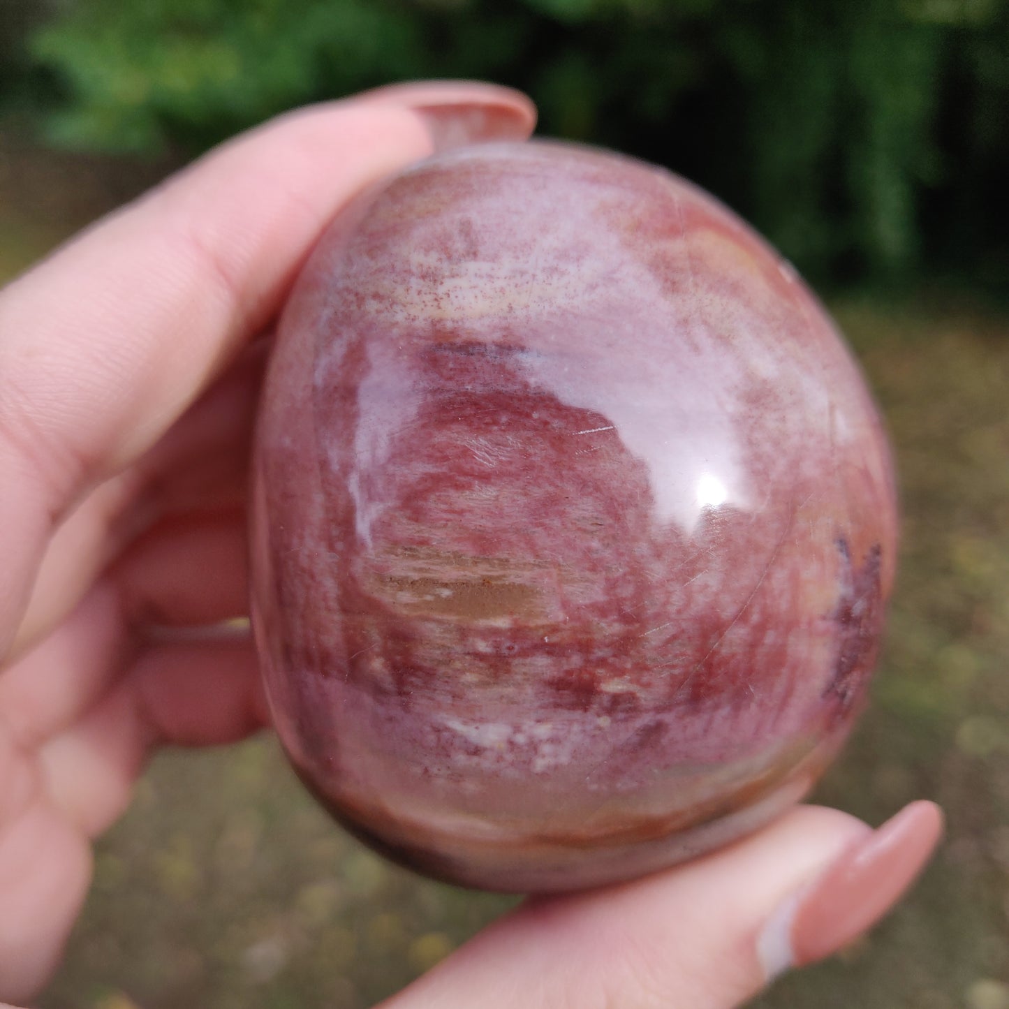 Petrified Wood Palm Stone (#8)