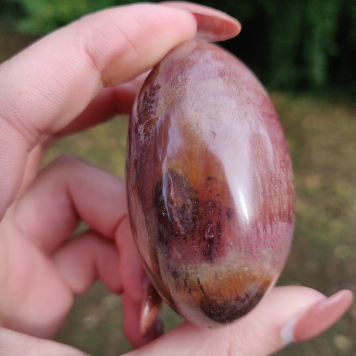 Petrified Wood Palm Stone (#8)