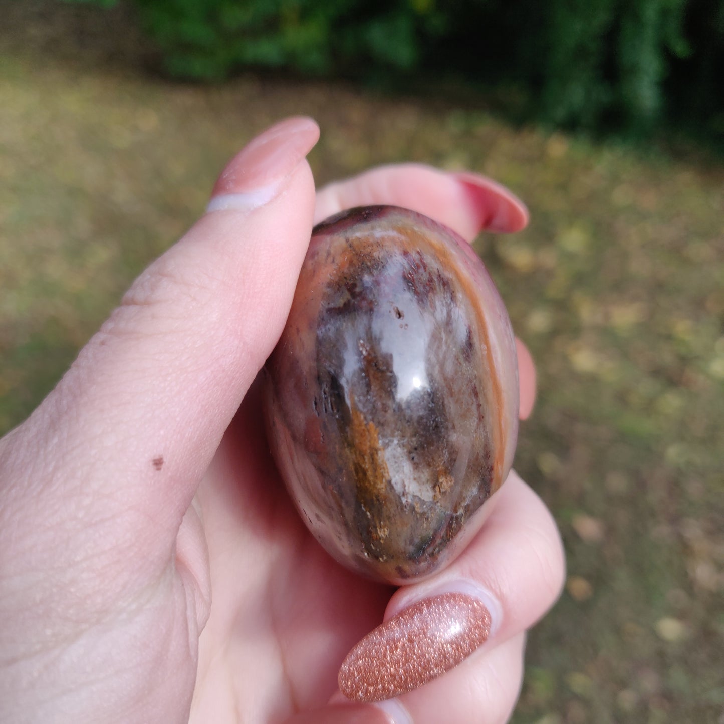 Petrified Wood Palm Stone (#8)