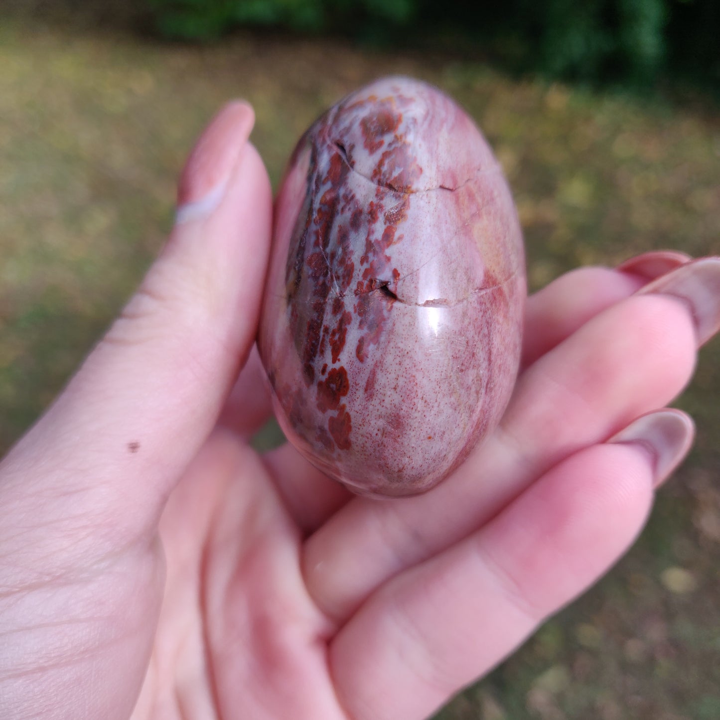 Petrified Wood Palm Stone (#8)