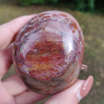Petrified Wood Palm Stone (#8)