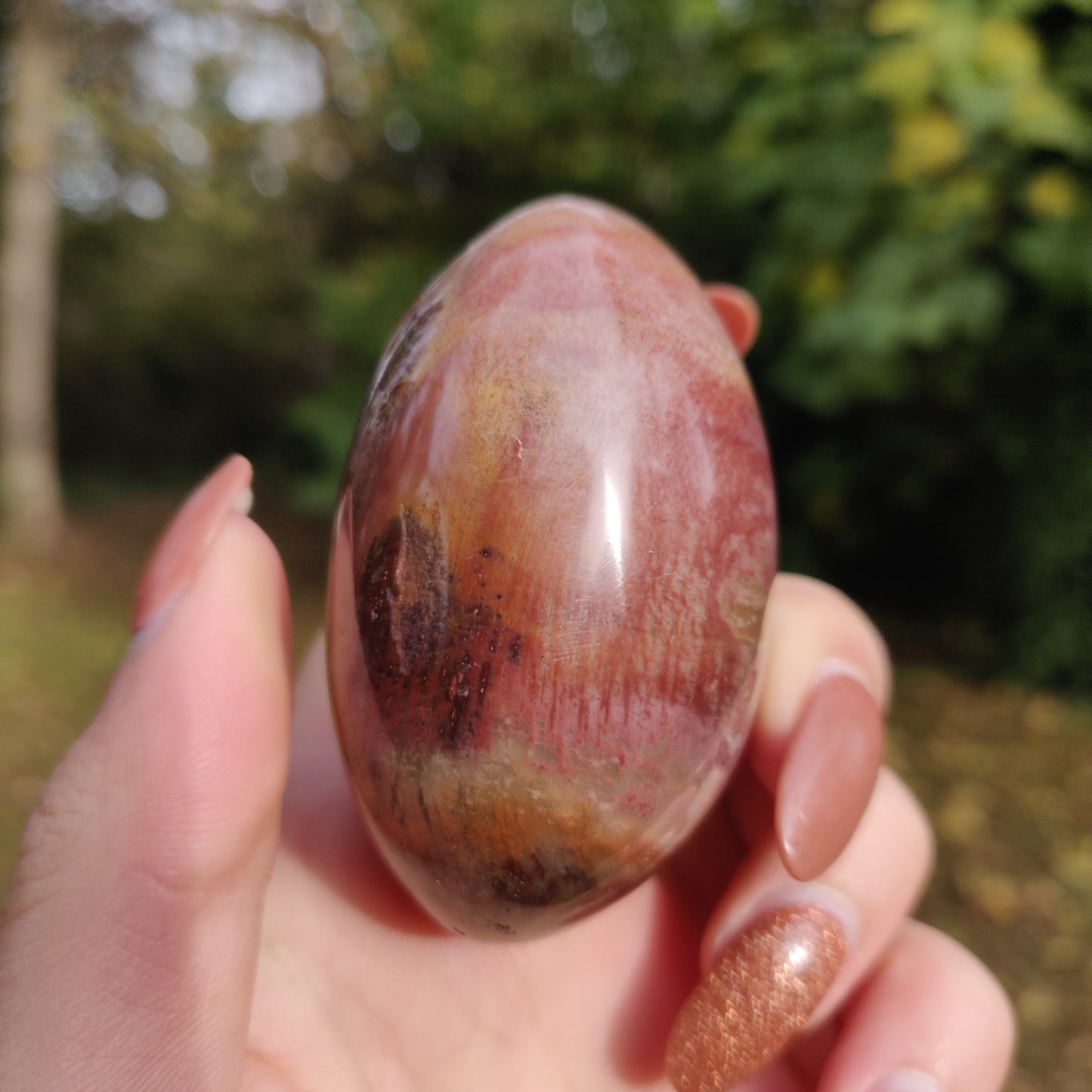 Petrified Wood Palm Stone (#8)