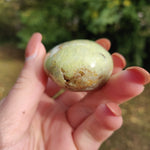 Green Opal Palm Stone (#13)