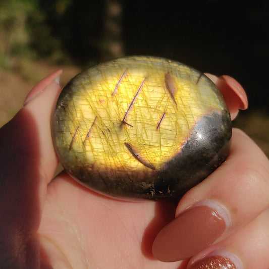 Labradorite Palm Stone (#20N) - Simply Affinity