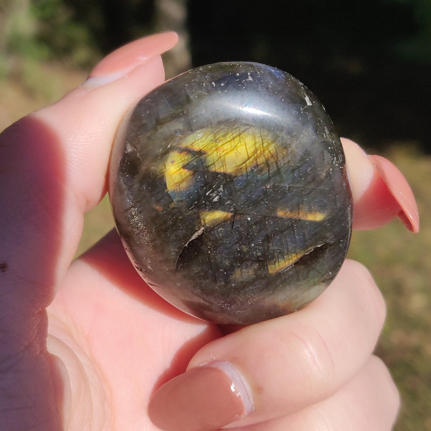 Labradorite Palm Stone (#20N) - Simply Affinity