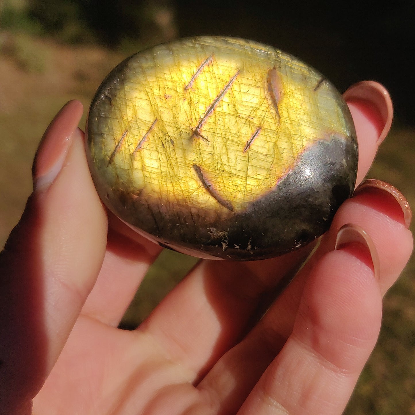Labradorite Palm Stone (#20N) - Simply Affinity