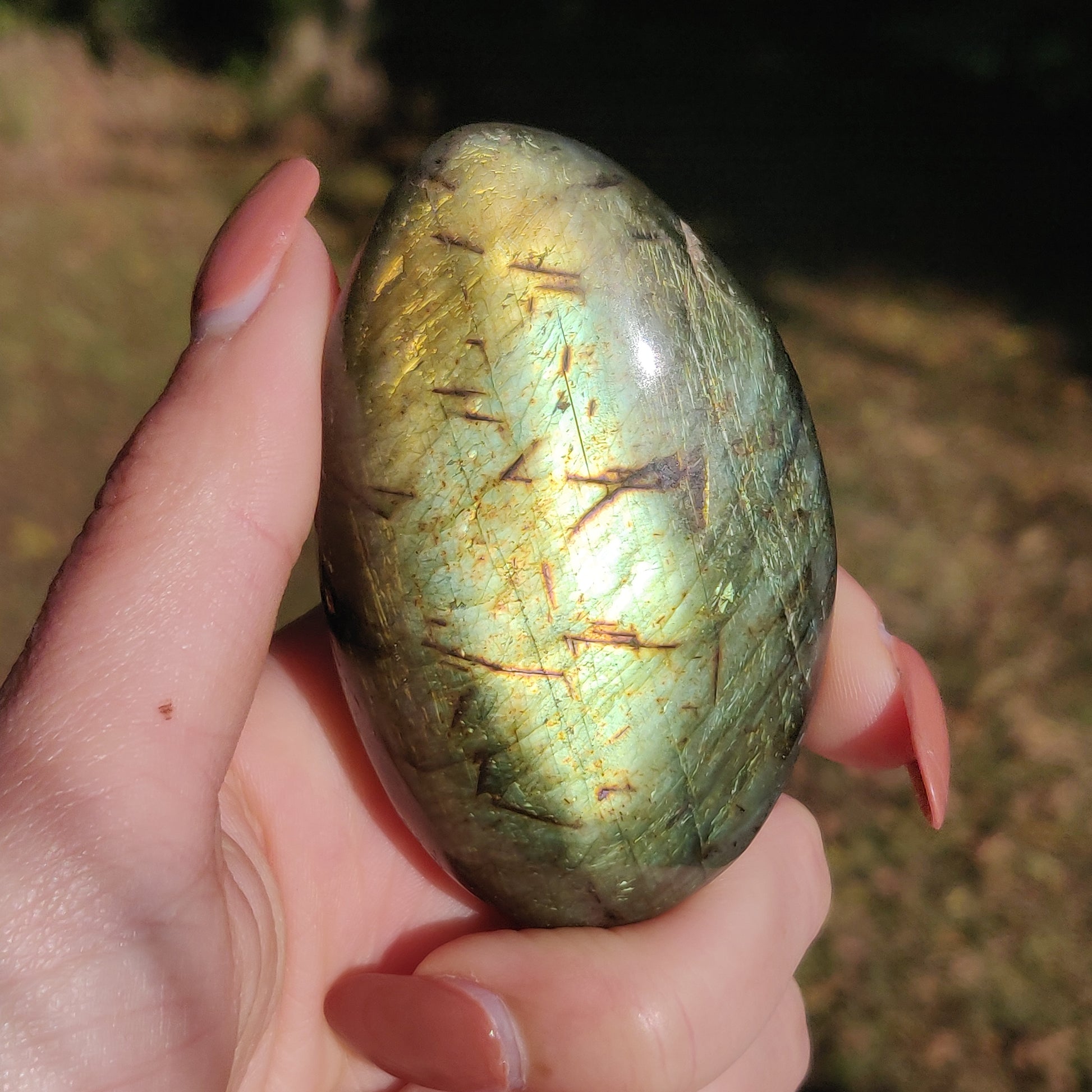 Labradorite Palm Stone (#24) - Simply Affinity