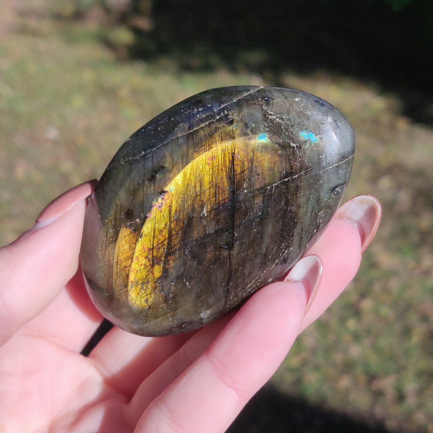 Labradorite Palm Stone (#24) - Simply Affinity