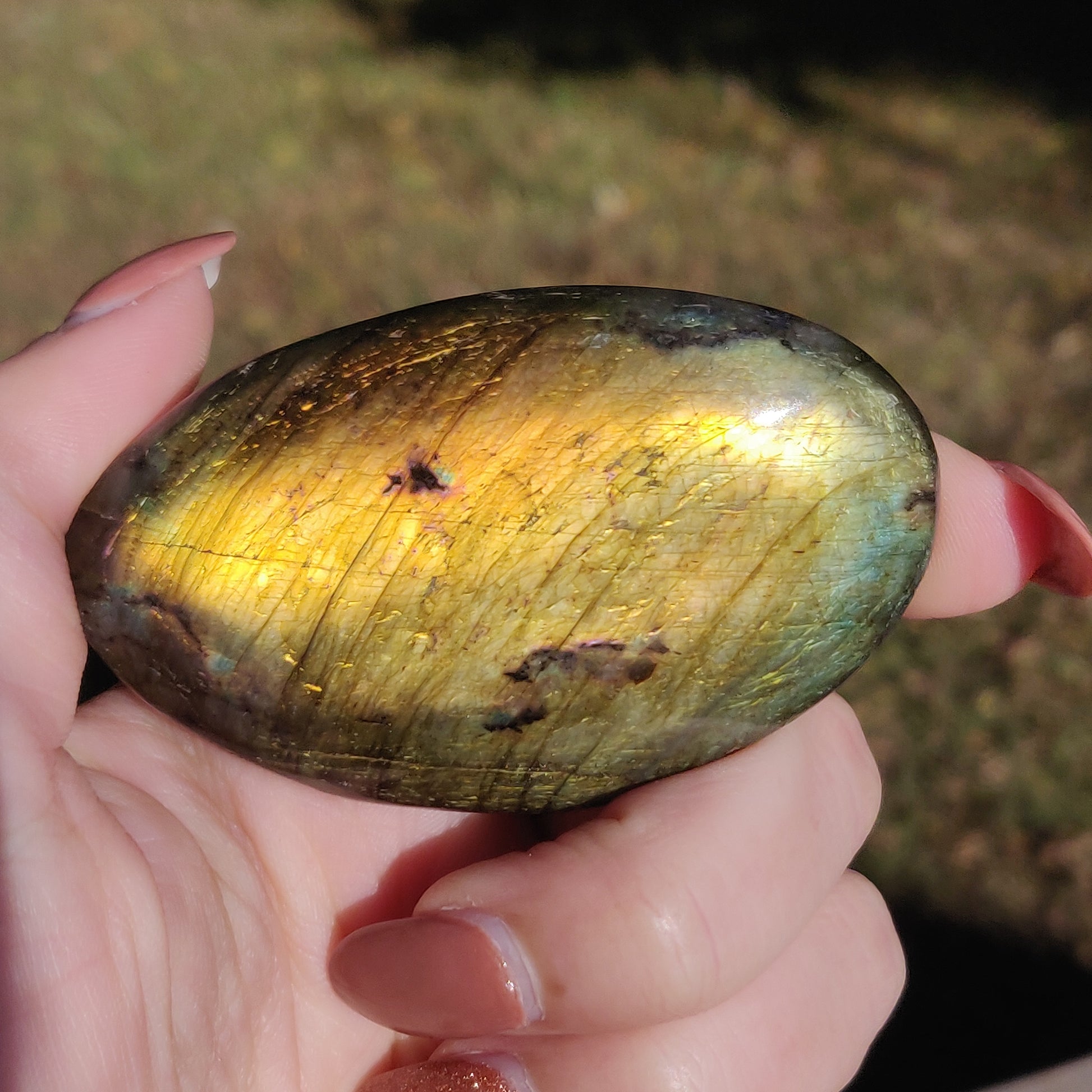 Labradorite Palm Stone (#24) - Simply Affinity