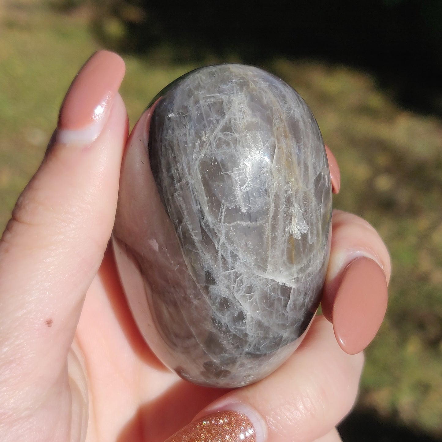 Black Moonstone Palm Stone with Rainbows (#10)