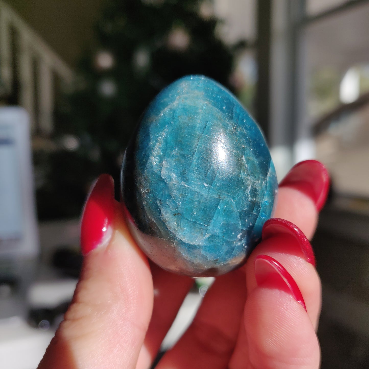 Blue Apatite Egg (#1)