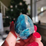 Blue Apatite Egg (#1)