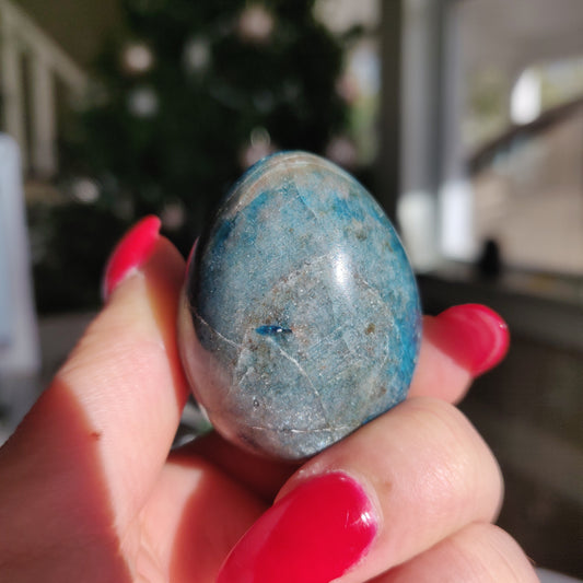 Blue Apatite Egg (#1)