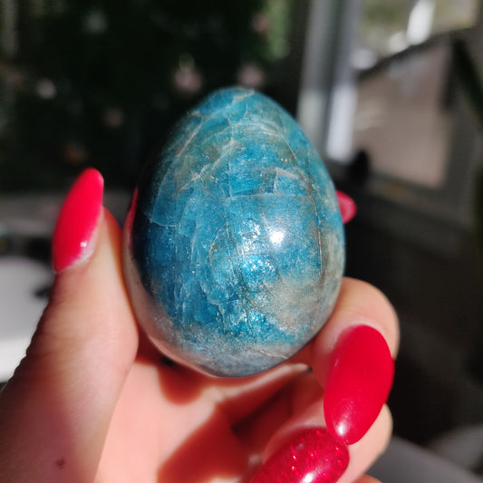 Blue Apatite Egg (#3)