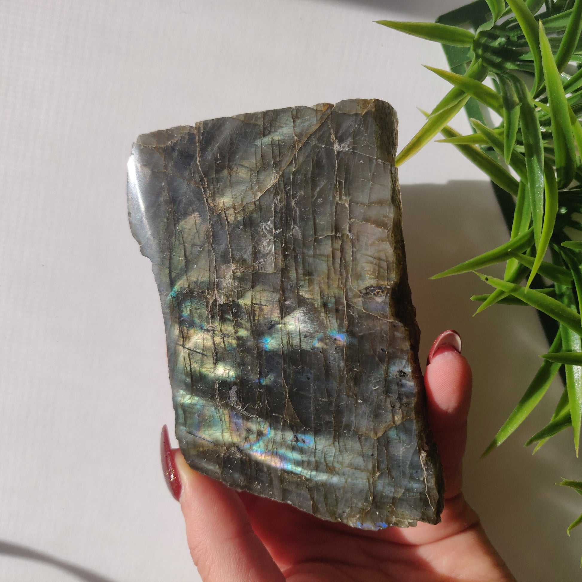 Labradorite Slab (#34) - Simply Affinity